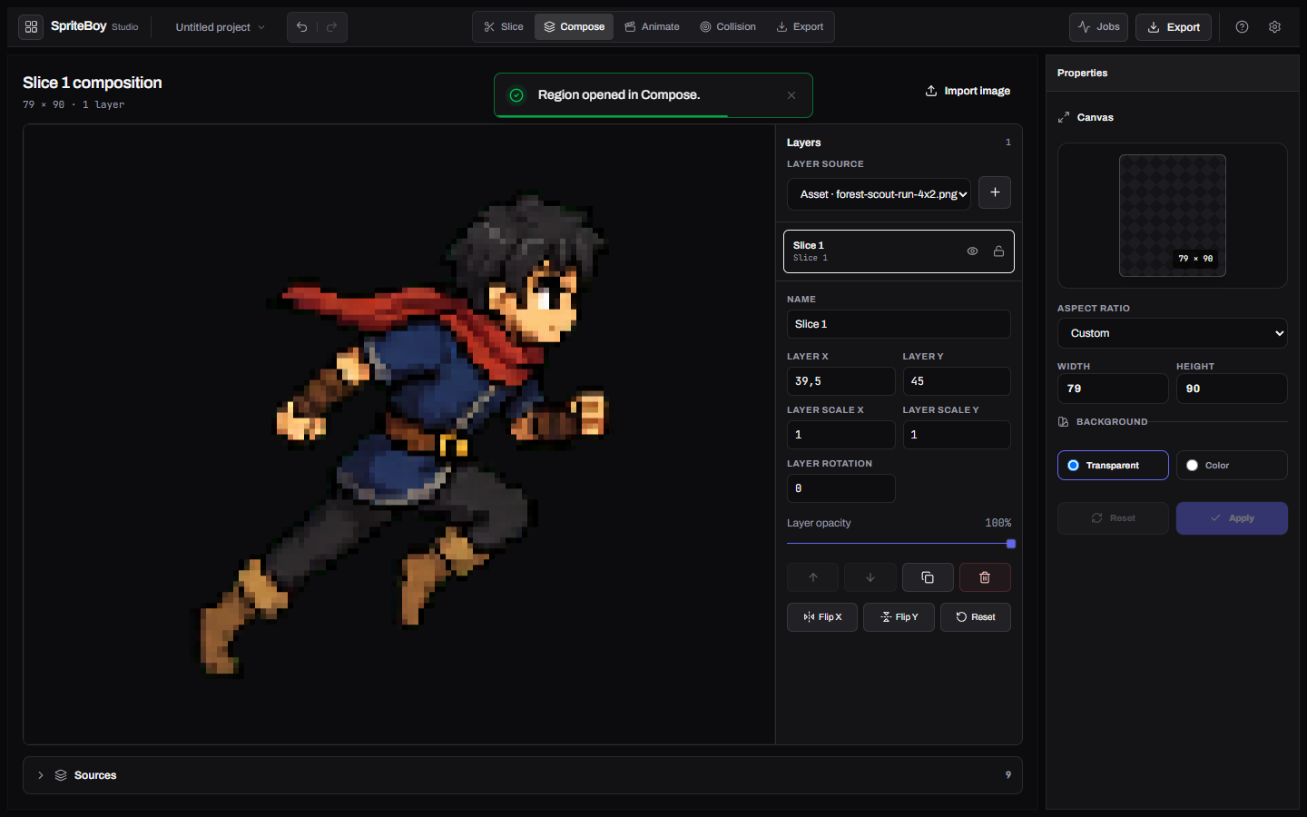 Compose workspace with a region rendered on canvas